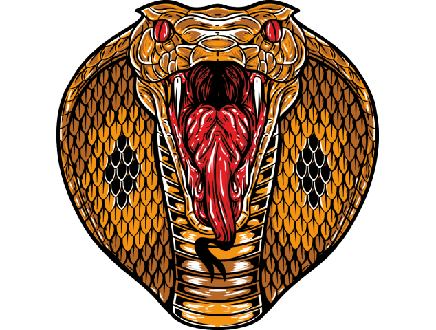 Autocollant Serpent - Autocollants