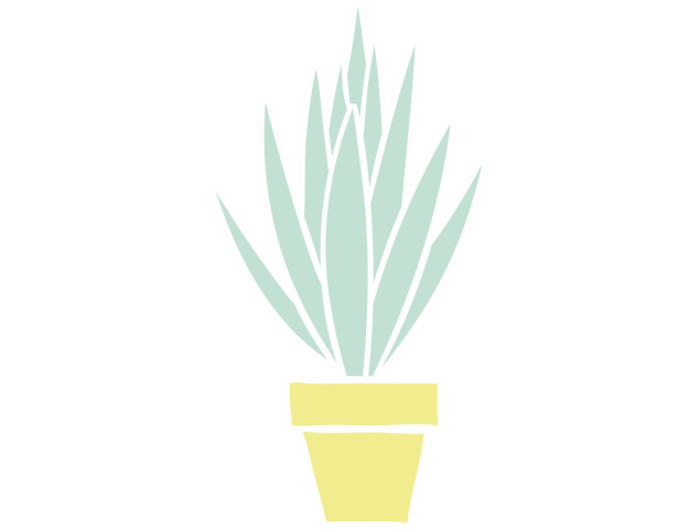Autocollant Plante Et Cactus 13 - Stickers Fleurs