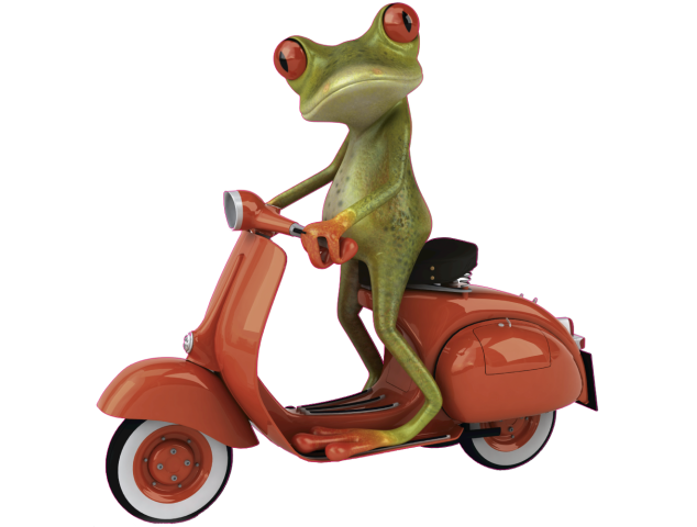 Autocollant Grenouille Vespa - Grenouilles