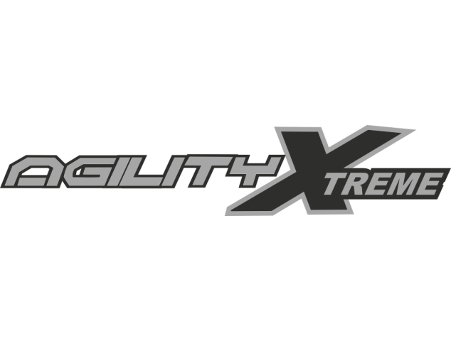 Autocollant Kymco Agility Xtrem - Quad