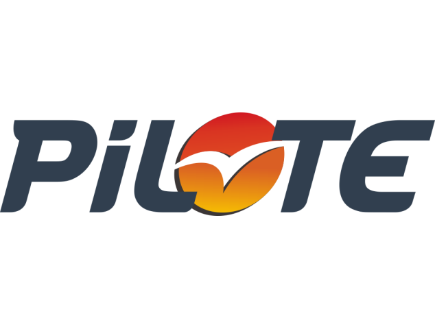 Autocollant Pilote Logo Dégradé - Stickers Caravane