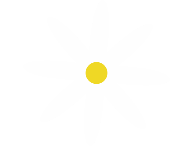 Autocollant Marguerite 3 - Stickers Fleurs