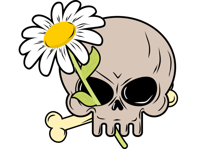 Autocollant Fleur Marguerite Skull - Stickers Fleurs
