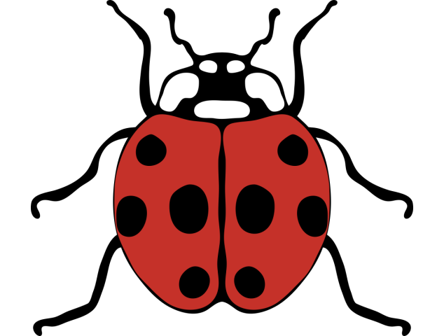 Autocollant Coccinelle 3 - Divers Animaux