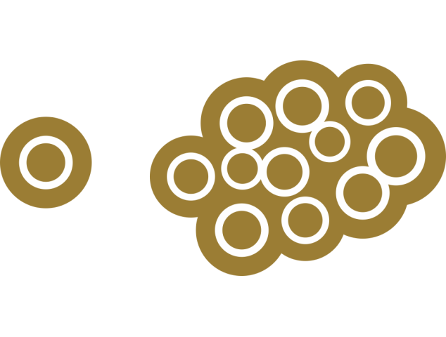 Autocollant Cercle Moderne Or - Autocollants