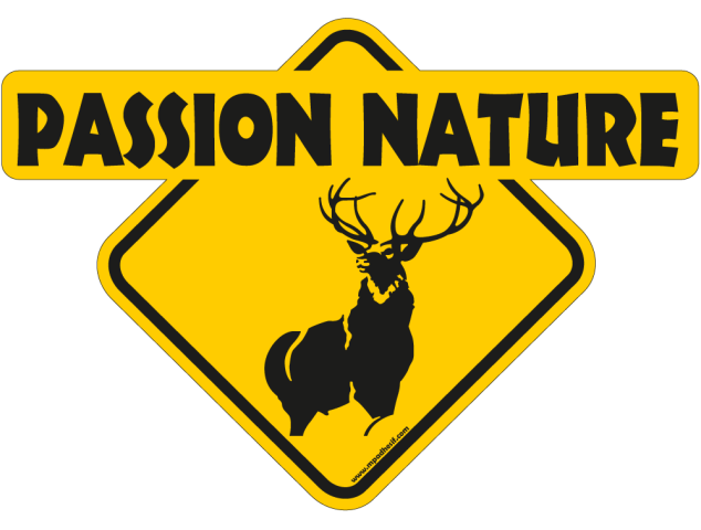 Passion nature cerf - Australia 4x4