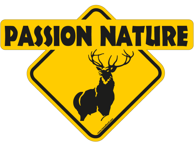 Passion nature cerf - Australia 4x4