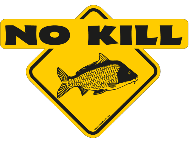 No Kill carpe - Australia 4x4