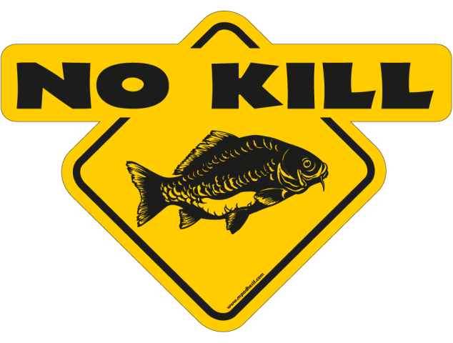 No Kill carpe - Australia 4x4