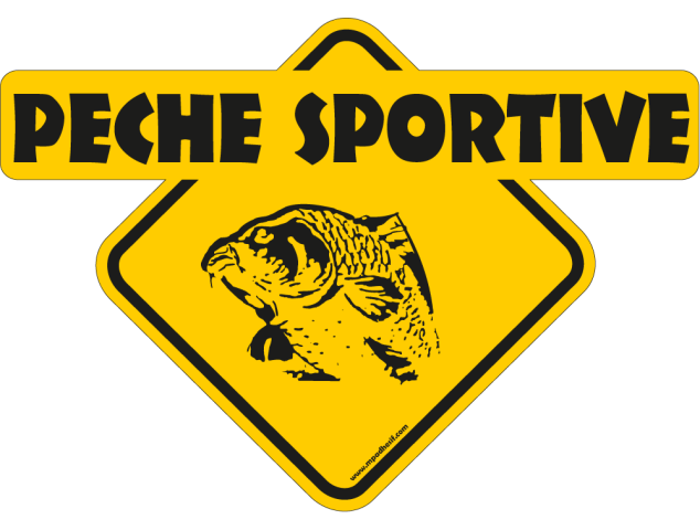 Peche Sportive carpe - Australia 4x4