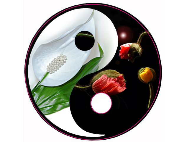 Autocollant mural YIN-YANG fleurs - Autocollants Couleurs