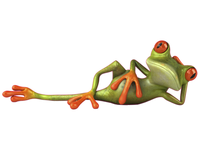Autocollants grenouilles - Grenouilles