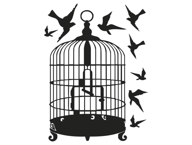 Stickers Cage Oiseaux - Stickers Adhesifs muraux
