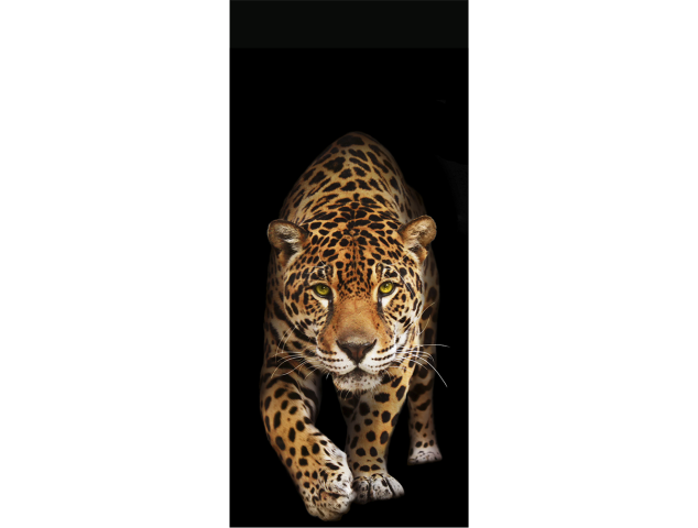 Sticker Porte Leopard 2 - Stickers Porte