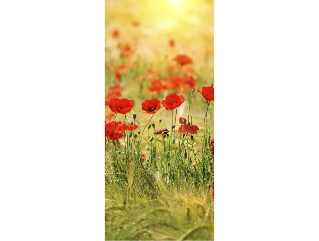 Champs De Coquelicots - Stickers Porte