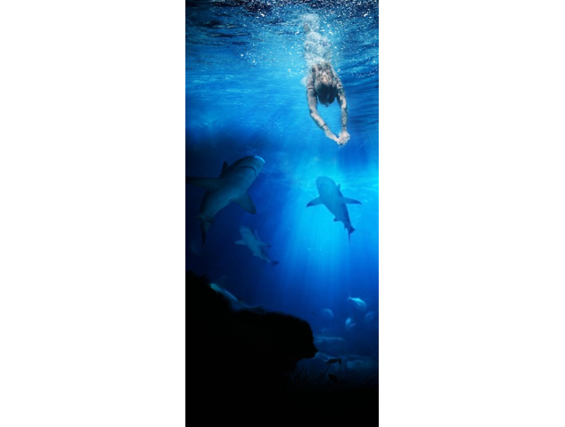 Mer Requin 1 - Stickers Porte