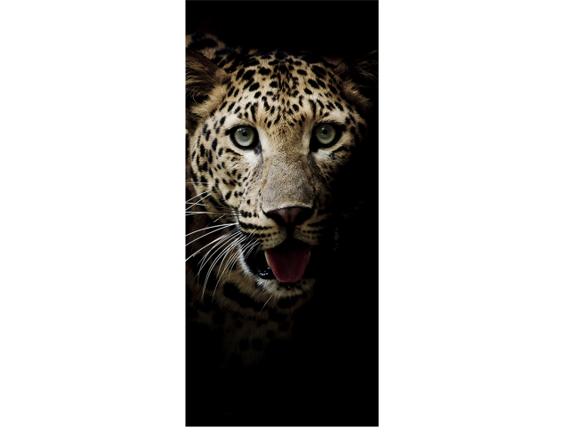 Leopard 3 - Stickers Porte