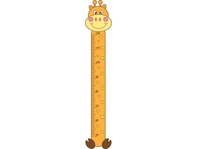 Toise Girafe - Toise