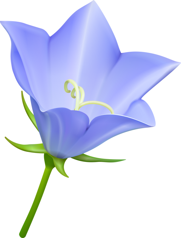 Autocollants Fleur Bleue ref.d10387 AutocollantsStickers