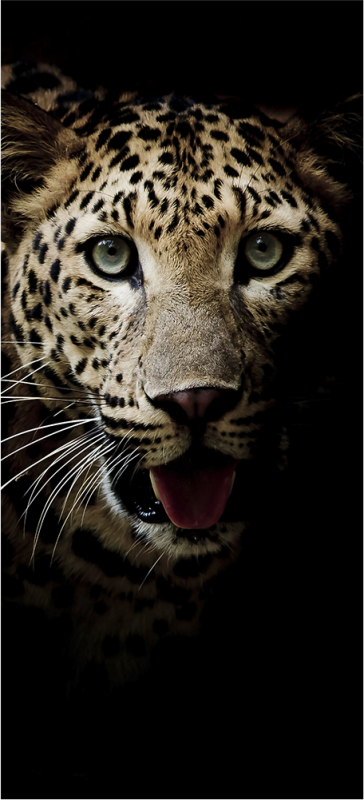 Leopard 3 - ref.sp69641698 | Autocollants-Stickers
