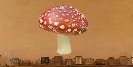 Champignons